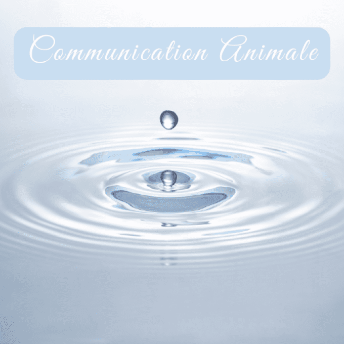 Communication Animale "GOUTTE D'EAU" 